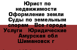 Юрист по недвижимости. Оформление земли. Суды по земельным спорам - Все города Услуги » Юридические   . Амурская обл.,Шимановск г.